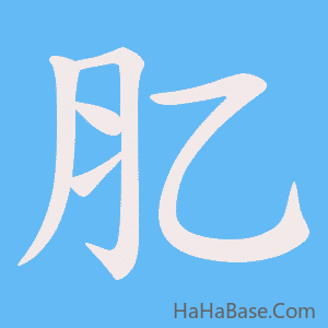 《肊》的筆順動畫寫字動畫演示