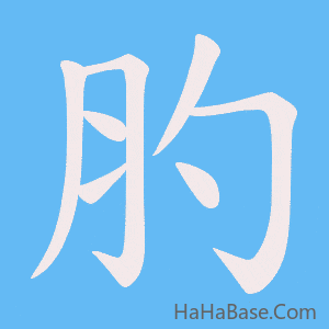 《肑》的筆順動畫寫字動畫演示