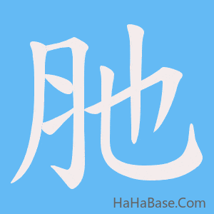 《肔》的筆順動畫寫字動畫演示