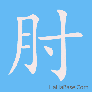 《肘》的筆順動畫寫字動畫演示