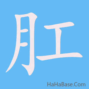 《肛》的筆順動畫寫字動畫演示