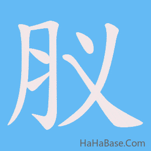 《肞》的筆順動畫寫字動畫演示