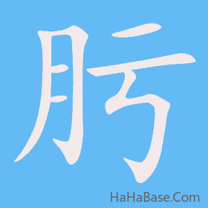 《肟》的筆順動畫寫字動畫演示
