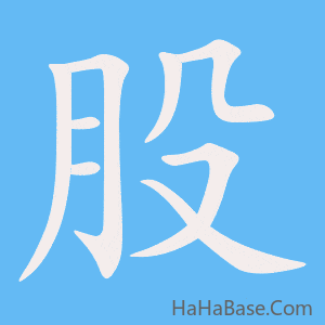 《股》的筆順動畫寫字動畫演示