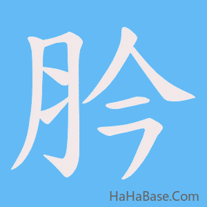 《肣》的筆順動畫寫字動畫演示