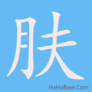 《肤》的筆順動畫寫字動畫演示