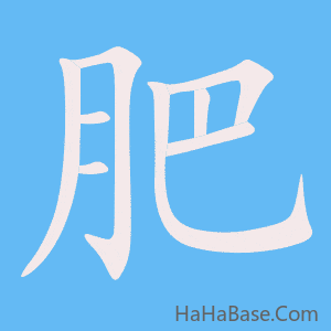 《肥》的筆順動畫寫字動畫演示