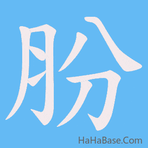 《肦》的筆順動畫寫字動畫演示