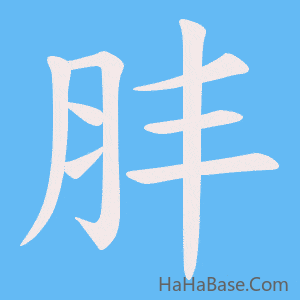 《肨》的筆順動畫寫字動畫演示