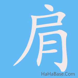 《肩》的筆順動畫寫字動畫演示
