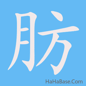 《肪》的筆順動畫寫字動畫演示