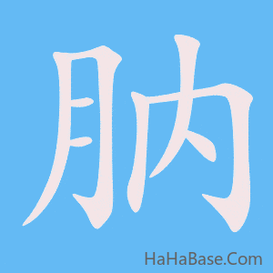 《肭》的筆順動畫寫字動畫演示