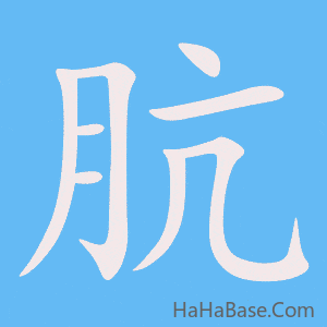 《肮》的筆順動畫寫字動畫演示