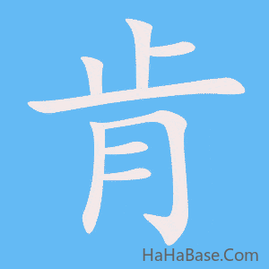 《肯》的筆順動畫寫字動畫演示