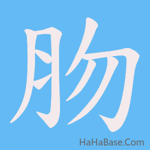 《肳》的筆順動畫寫字動畫演示