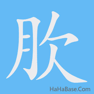 《肷》的筆順動畫寫字動畫演示