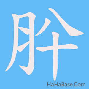 《肸》的筆順動畫寫字動畫演示
