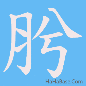 《肹》的筆順動畫寫字動畫演示