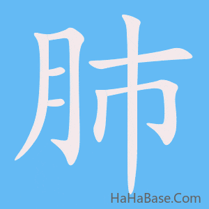 《肺》的筆順動畫寫字動畫演示