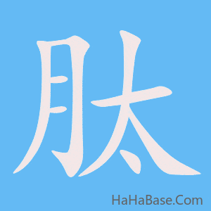 《肽》的筆順動畫寫字動畫演示