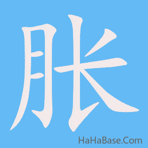 《胀》的筆順動畫寫字動畫演示