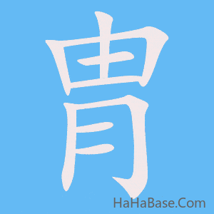 《胄》的筆順動畫寫字動畫演示