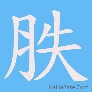 《胅》的筆順動畫寫字動畫演示