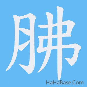 《胇》的筆順動畫寫字動畫演示