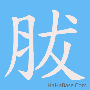 《胈》的筆順動畫寫字動畫演示