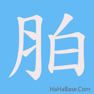 《胉》的筆順動畫寫字動畫演示