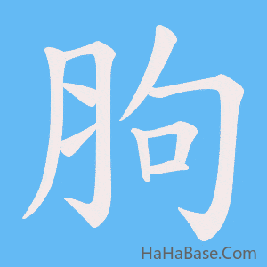 《胊》的筆順動畫寫字動畫演示