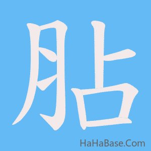 《胋》的筆順動畫寫字動畫演示