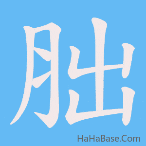 《胐》的筆順動畫寫字動畫演示