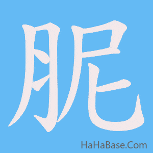 《胒》的筆順動畫寫字動畫演示