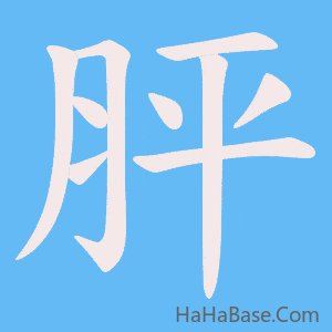 《胓》的筆順動畫寫字動畫演示