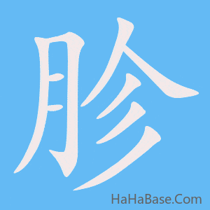《胗》的筆順動畫寫字動畫演示