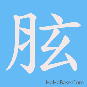 《胘》的筆順動畫寫字動畫演示