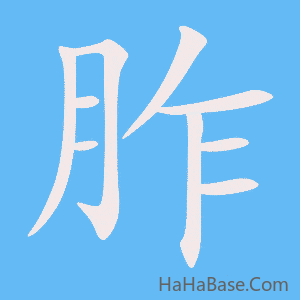 《胙》的筆順動畫寫字動畫演示