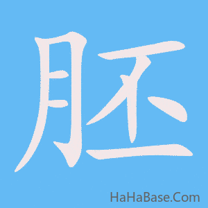 《胚》的筆順動畫寫字動畫演示
