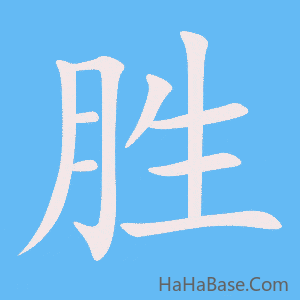 《胜》的筆順動畫寫字動畫演示