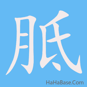 《胝》的筆順動畫寫字動畫演示