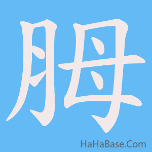 《胟》的筆順動畫寫字動畫演示
