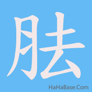 《胠》的筆順動畫寫字動畫演示