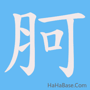 《胢》的筆順動畫寫字動畫演示
