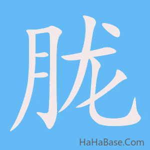 《胧》的筆順動畫寫字動畫演示