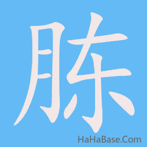 《胨》的筆順動畫寫字動畫演示