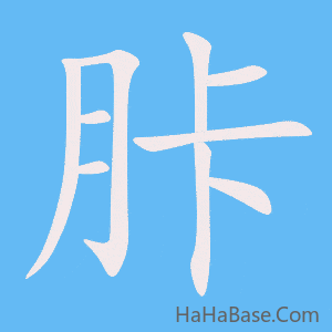 《胩》的筆順動畫寫字動畫演示