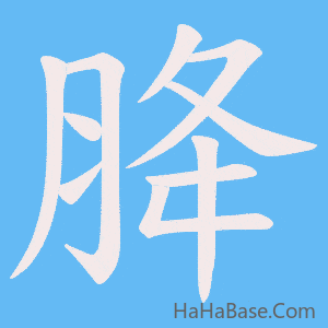 《胮》的筆順動畫寫字動畫演示