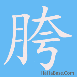 《胯》的筆順動畫寫字動畫演示
