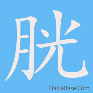 《胱》的筆順動畫寫字動畫演示